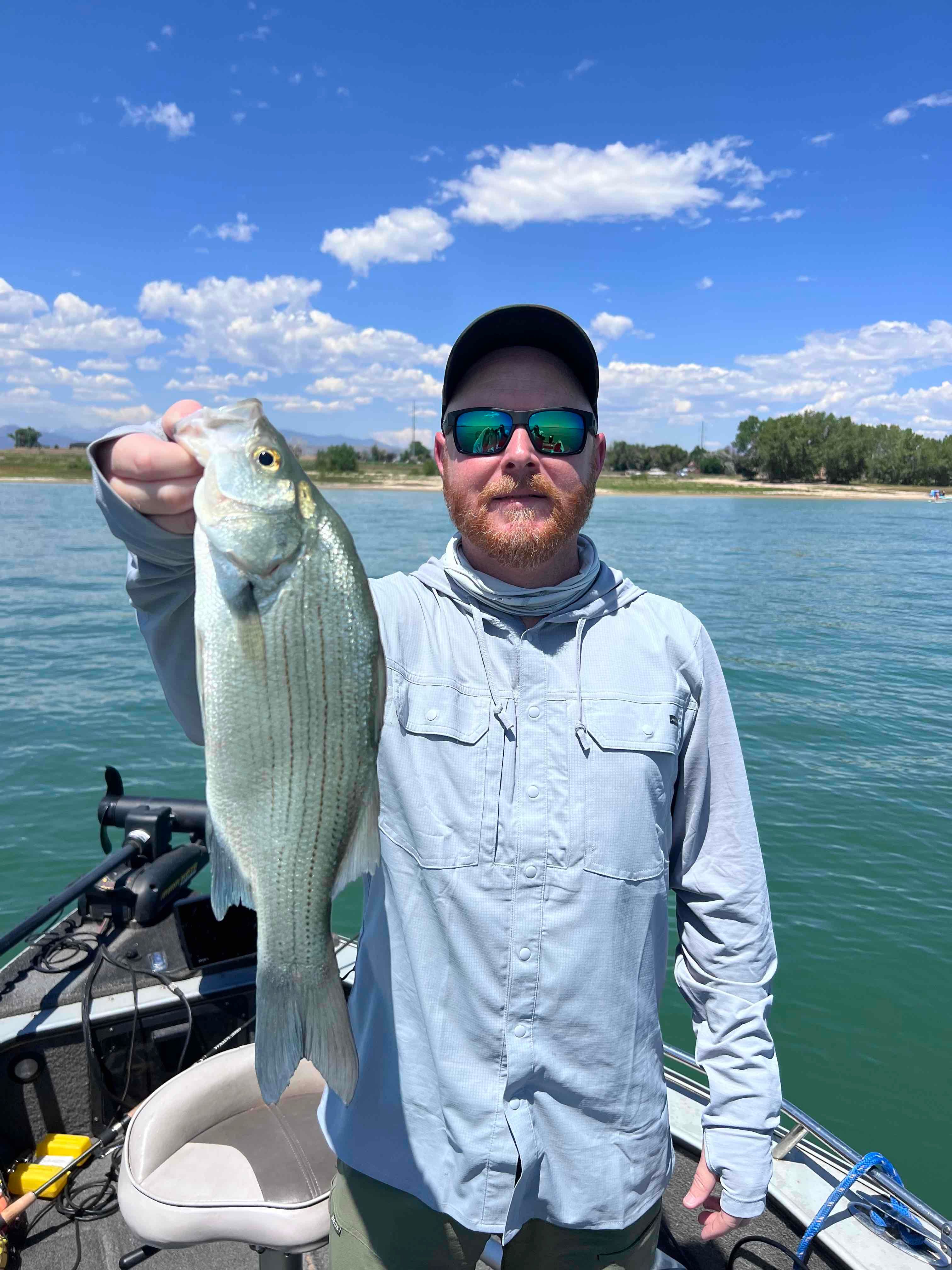 Summer White Bass In Loveland Colorado 2022